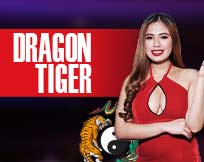 Dragon Tiger Opus
